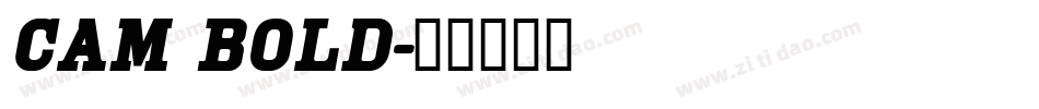 Cam Bold字体转换